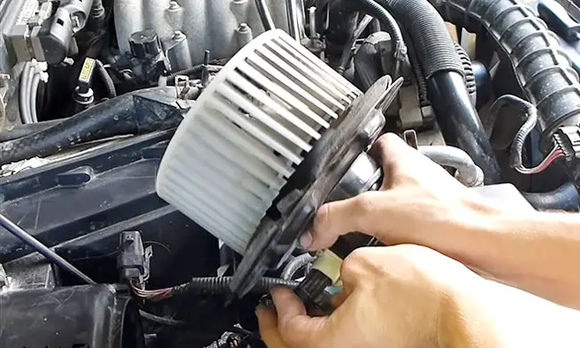 Honda Element Dirty blower motor